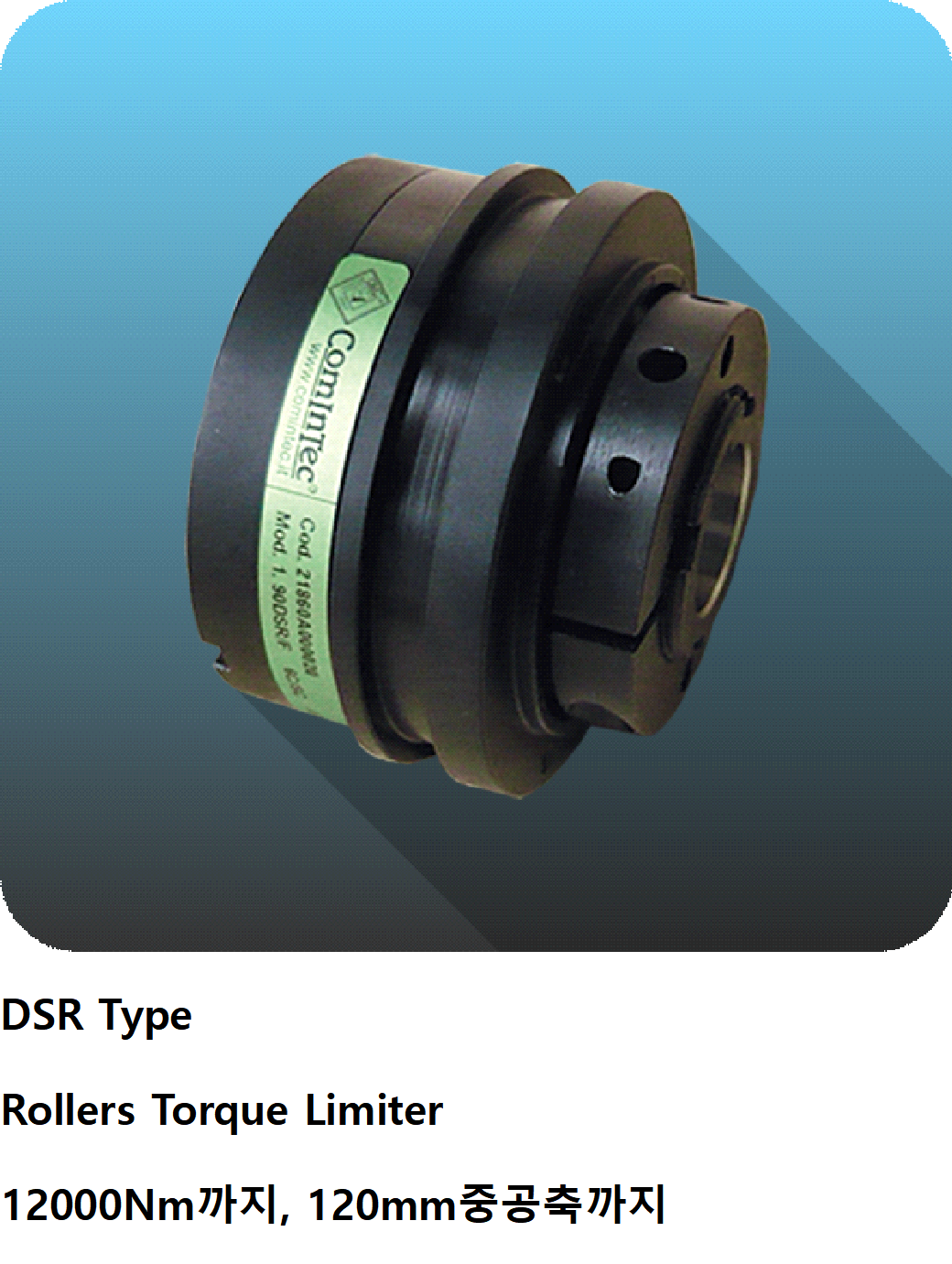 지티코리아 토크리미트